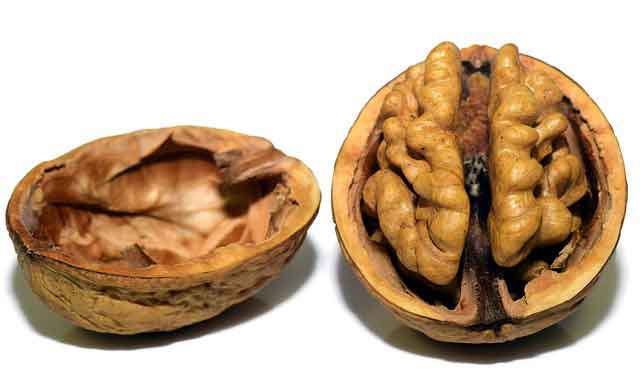 Применение орехов в народной медицине. Кроме необычного вкуса, орехи обладают еще и полезными свойствами и являются кладезем витаминов и жирных кислот. 