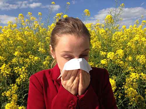 Аллергия как и чем ее лечить